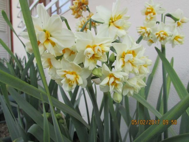 Name:  IMG_4464.jpg
Views: 571
Size:  42.8 KB