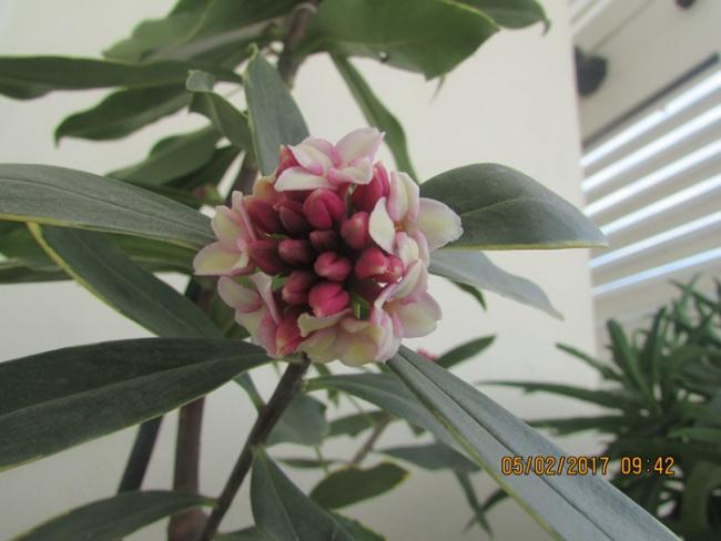 Name:  IMG_4455.jpg
Views: 542
Size:  36.1 KB
