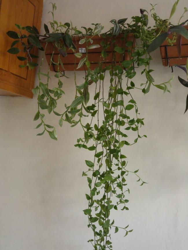Name:  20170208_112817-1.jpg
Views: 581
Size:  60.2 KB