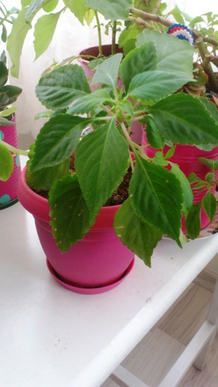 Name:  075.jpg
Views: 338
Size:  42.8 KB