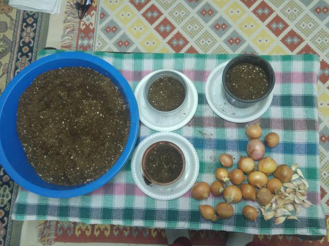 Name:  20170308_014447-1.jpg
Views: 292
Size:  59.7 KB