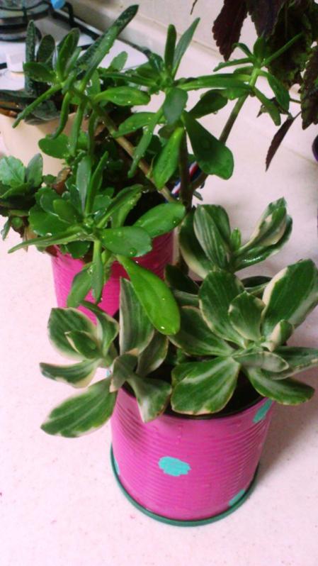 Name:  074.jpg
Views: 510
Size:  51.6 KB