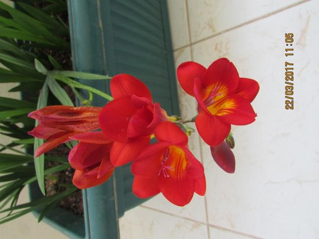 Name:  IMG_4783.jpg
Views: 743
Size:  32.5 KB