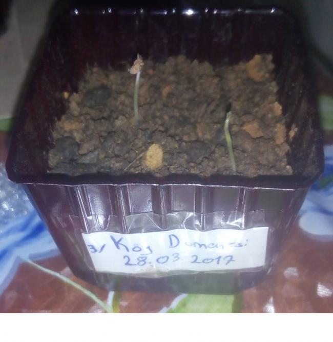 Name:  Adszzzz.jpg
Views: 572
Size:  40.1 KB