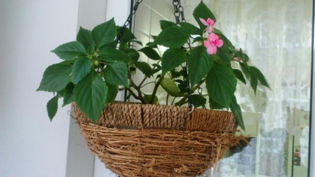 Name:  005.jpg
Views: 325
Size:  35.2 KB