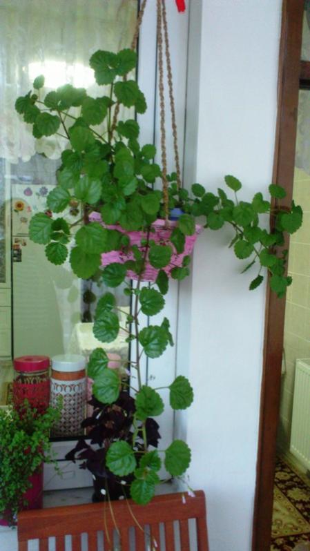 Name:  008.jpg
Views: 337
Size:  48.3 KB