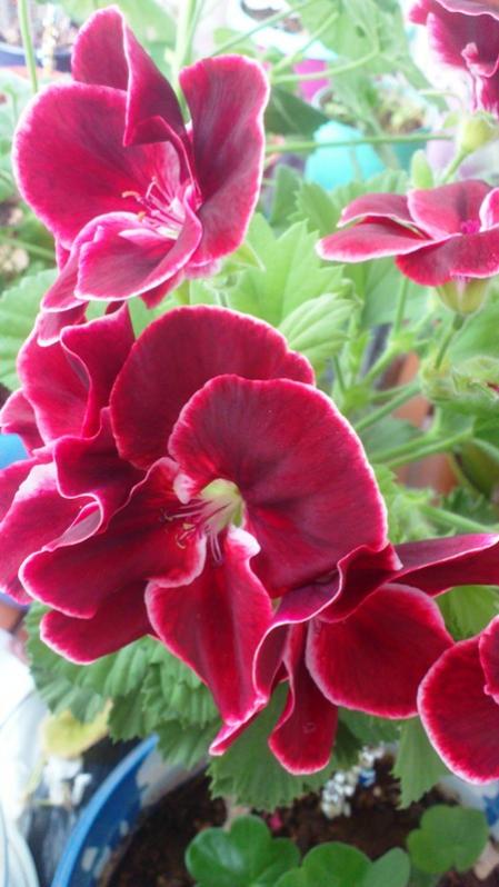 Name:  688.jpg
Views: 495
Size:  53.3 KB