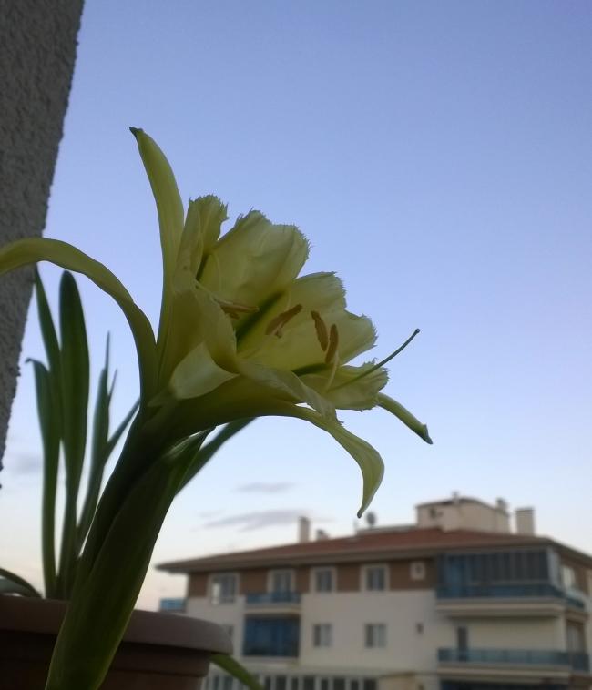 Name:  1111.jpg
Views: 2951
Size:  35.2 KB