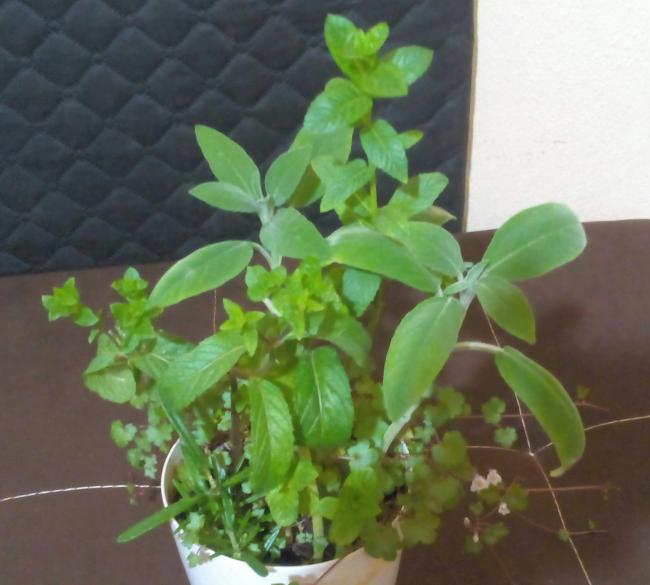 Name:  baharat.jpg
Views: 351
Size:  40.0 KB
