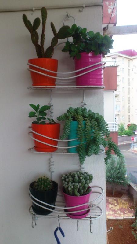 Name:  017.jpg
Views: 399
Size:  43.0 KB