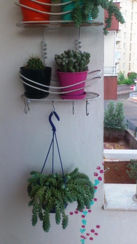 Name:  018.jpg
Views: 401
Size:  41.7 KB