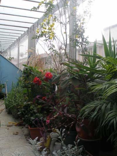 Name:  P1010001.jpg
Views: 1698
Size:  37.9 KB