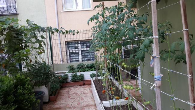 Name:  20160730_180309.jpg
Views: 225
Size:  56.4 KB
