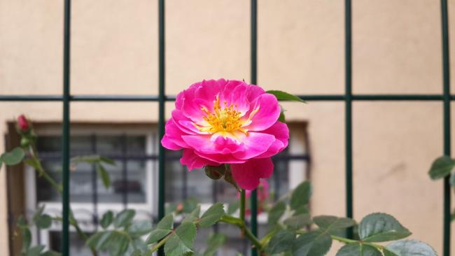Name:  20170602_104857_Richtone(HDR).jpg
Views: 226
Size:  25.9 KB