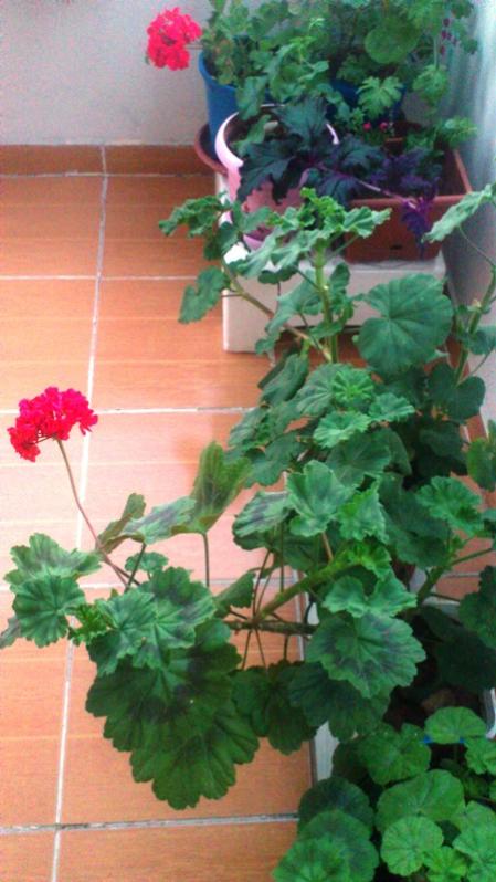 Name:  120.jpg
Views: 294
Size:  56.4 KB
