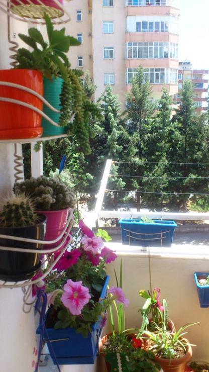 Name:  050.jpg
Views: 295
Size:  58.3 KB