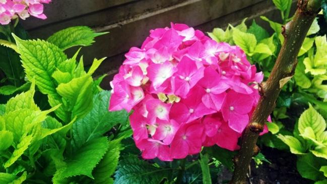 Name:  20170610_114524.jpg
Views: 639
Size:  48.2 KB