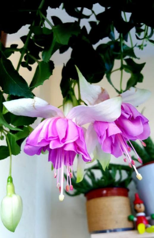 Name:  20160530_195200.jpg
Views: 257
Size:  48.5 KB