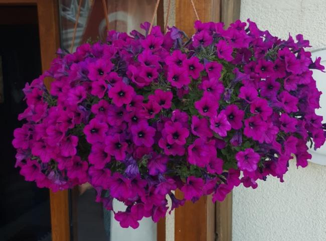Name:  20170524_193754.jpg
Views: 258
Size:  47.3 KB