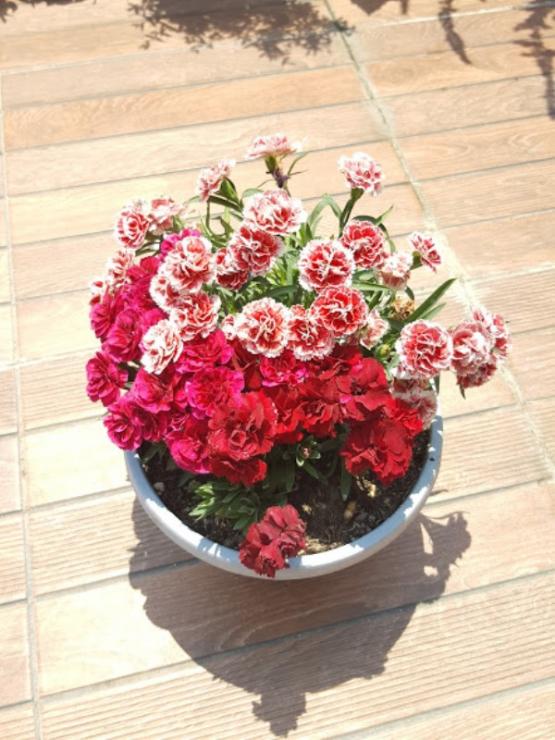 Name:  20170614_123431.jpg
Views: 266
Size:  67.5 KB