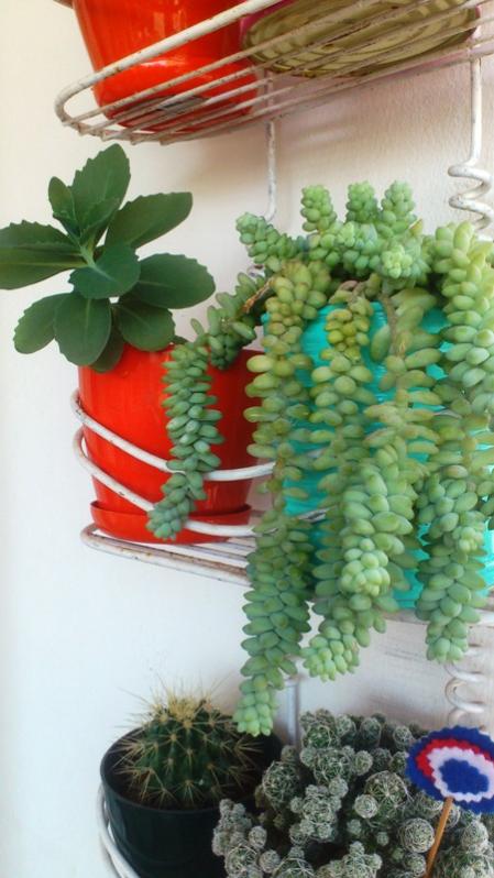Name:  074.jpg
Views: 520
Size:  56.1 KB