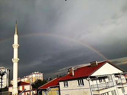 Name:  gkkua.jpg
Views: 872
Size:  62.5 KB