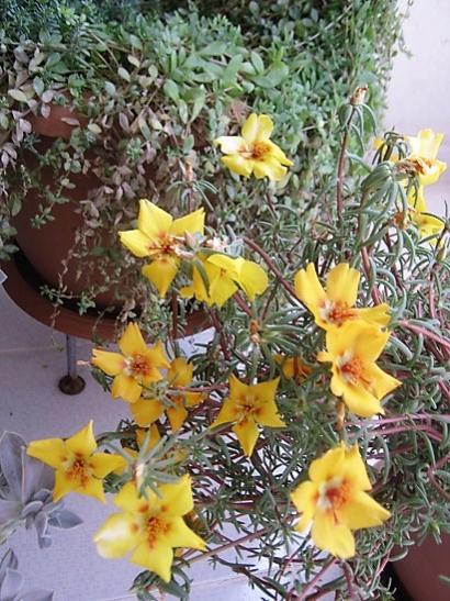 Name:  ipek.jpg
Views: 557
Size:  60.9 KB