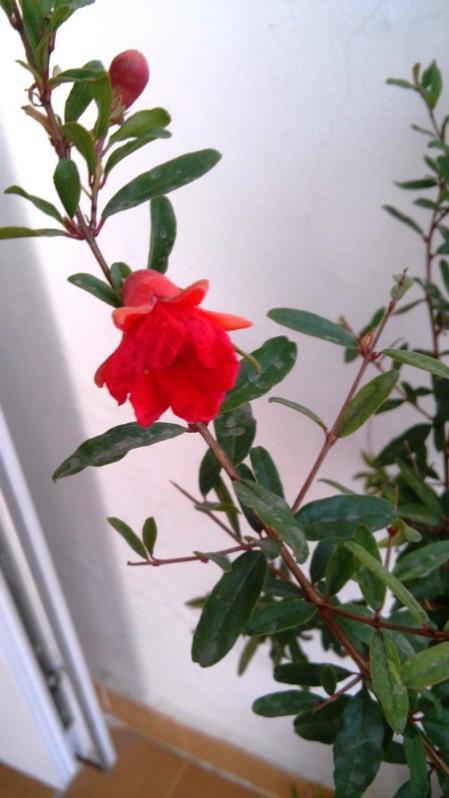 Name:  041.jpg
Views: 489
Size:  43.1 KB