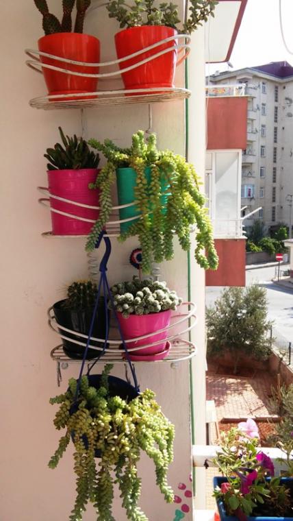 Name:  011.jpg
Views: 487
Size:  57.9 KB