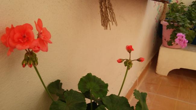 Name:  120.jpg
Views: 381
Size:  23.9 KB