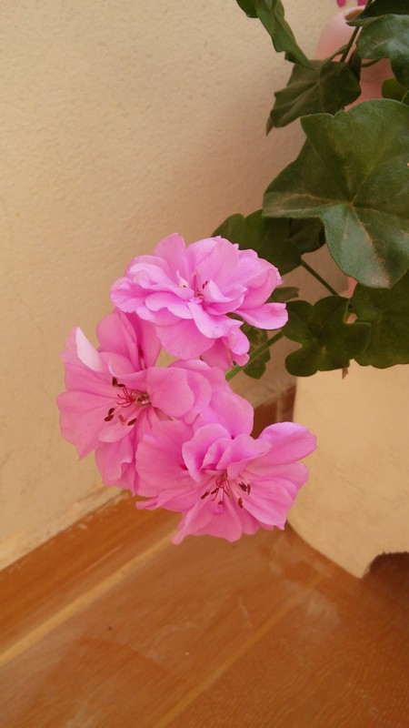 Name:  123.jpg
Views: 378
Size:  68.3 KB