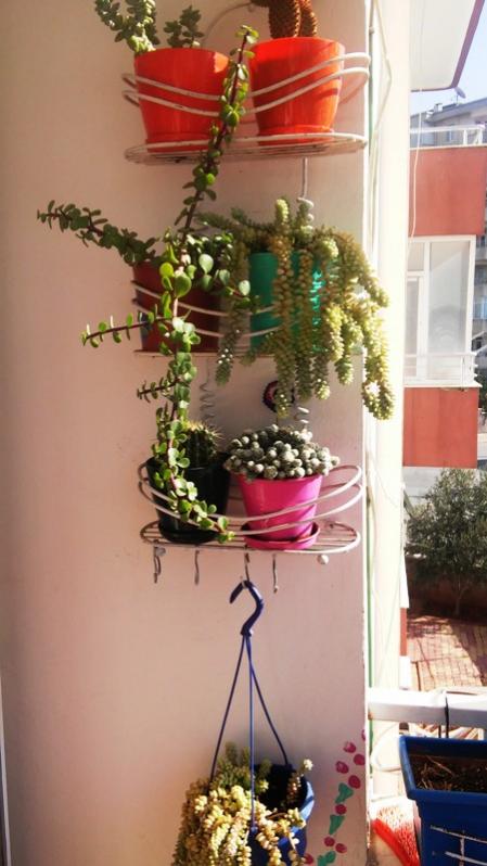 Name:  011.jpg
Views: 392
Size:  51.3 KB