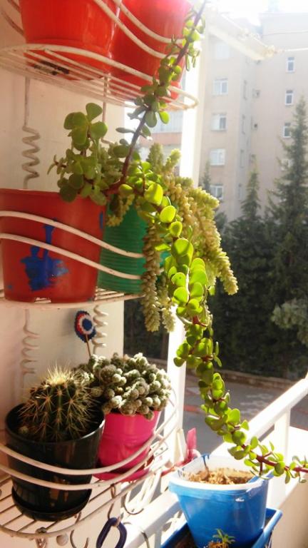 Name:  024.jpg
Views: 358
Size:  55.5 KB