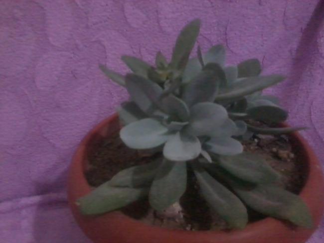 Name:  2017-12-04 20.30.37.jpg
Views: 308
Size:  25.0 KB