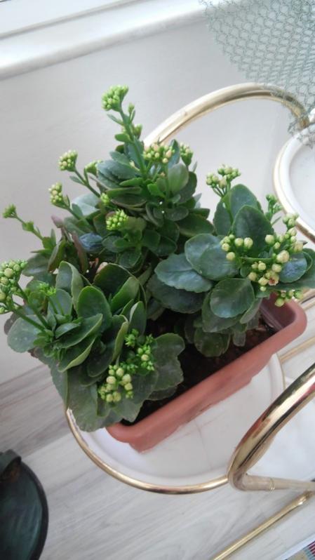 Name:  004.jpg
Views: 513
Size:  45.9 KB