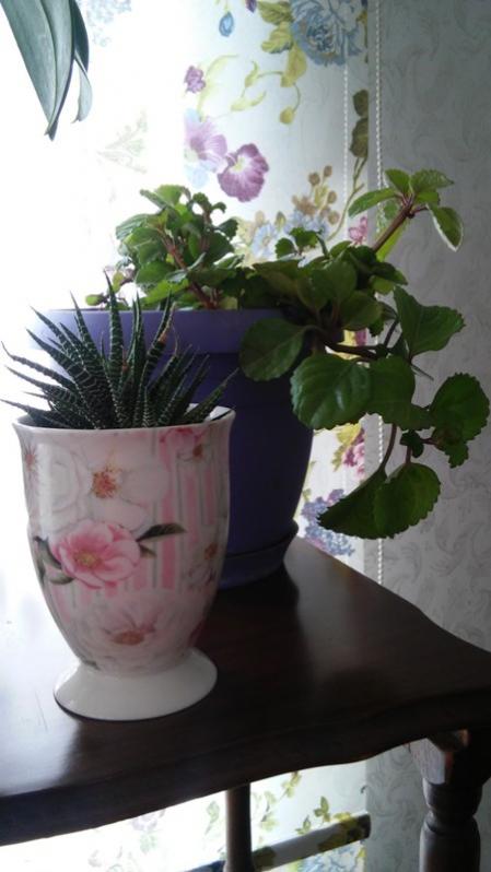 Name:  019.jpg
Views: 514
Size:  41.1 KB