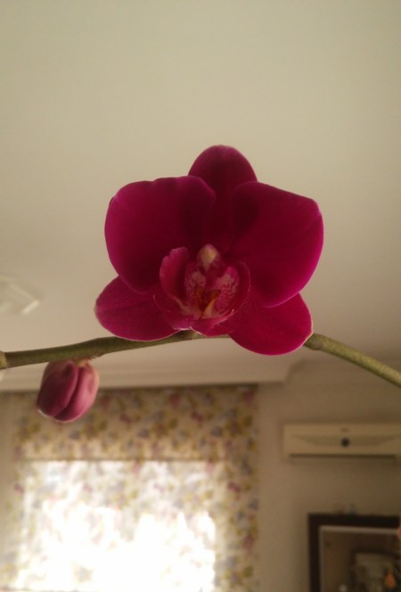 Name:  018.jpg
Views: 409
Size:  40.1 KB