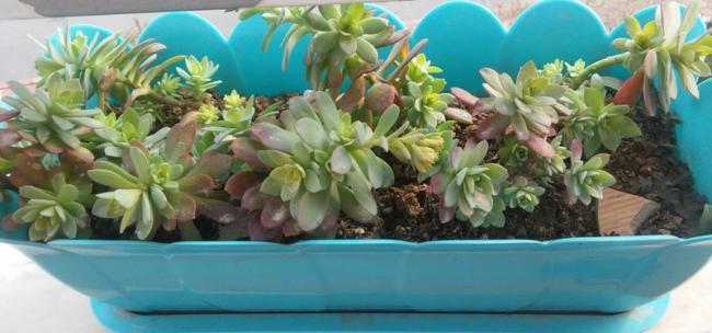 Name:  037.jpg
Views: 421
Size:  36.1 KB