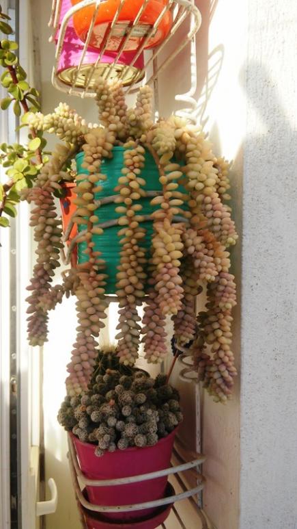 Name:  048.jpg
Views: 418
Size:  58.9 KB