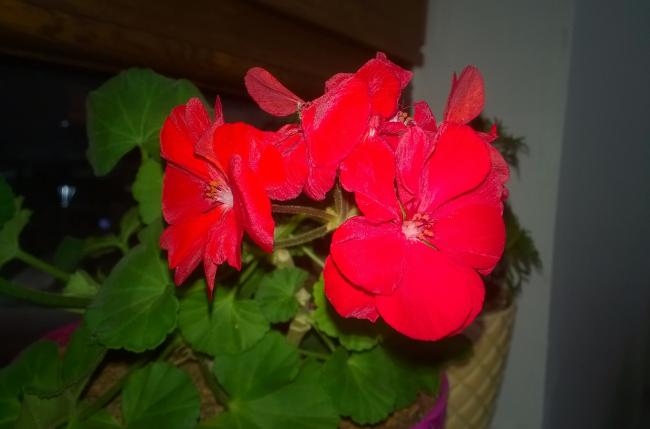 Name:  33234.jpg
Views: 797
Size:  24.8 KB