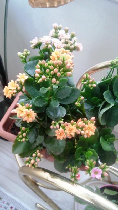 Name:  011.jpg
Views: 266
Size:  50.5 KB