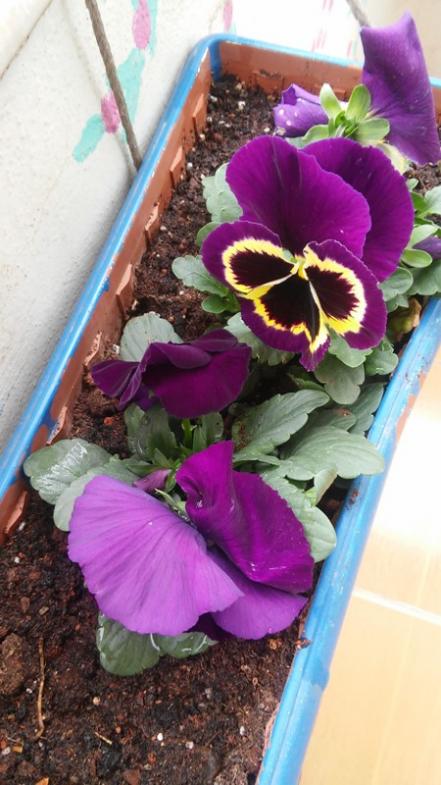Name:  003.jpg
Views: 446
Size:  58.2 KB