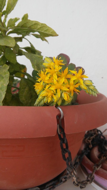 Name:  002.jpg
Views: 460
Size:  68.7 KB
