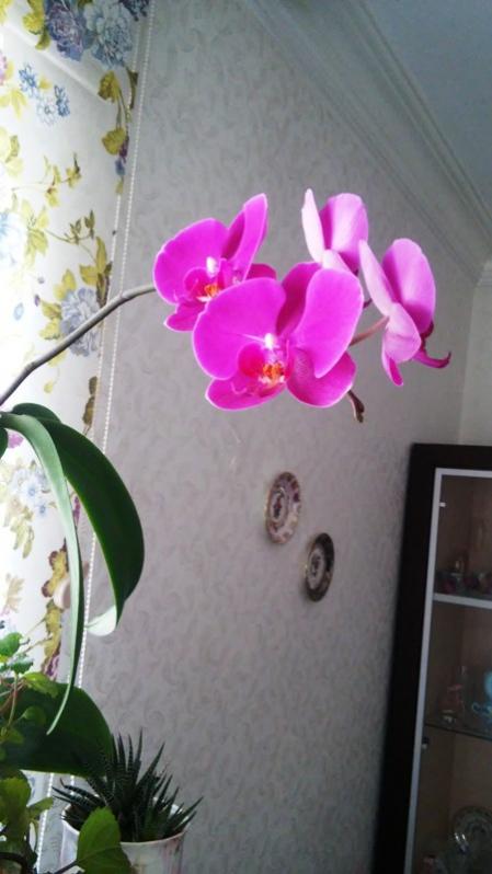 Name:  026.jpg
Views: 445
Size:  41.0 KB