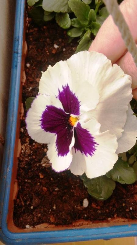 Name:  074.jpg
Views: 398
Size:  47.9 KB