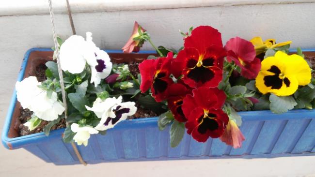 Name:  004.jpg
Views: 434
Size:  35.1 KB