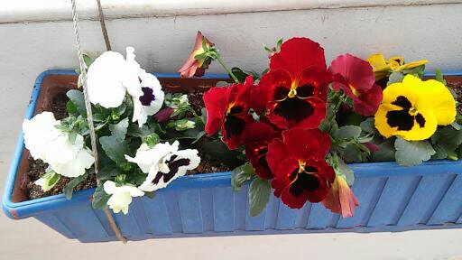 Name:  021.jpg
Views: 459
Size:  43.3 KB