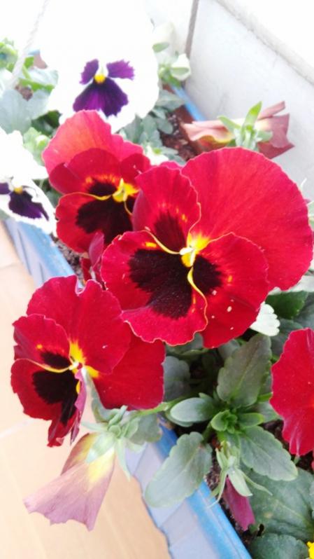 Name:  008.jpg
Views: 435
Size:  45.5 KB