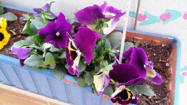 Name:  005.jpg
Views: 453
Size:  44.8 KB