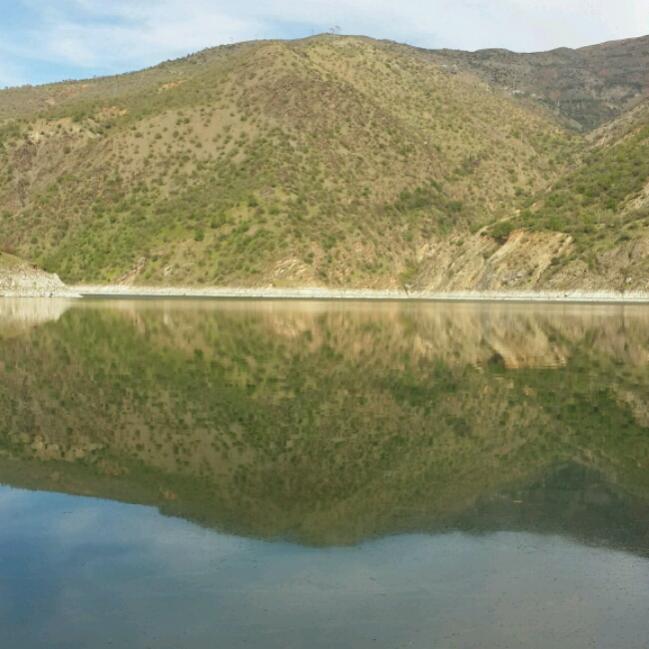 Name:  20180401_161221_crop_650x650.jpg
Views: 1027
Size:  52.8 KB
